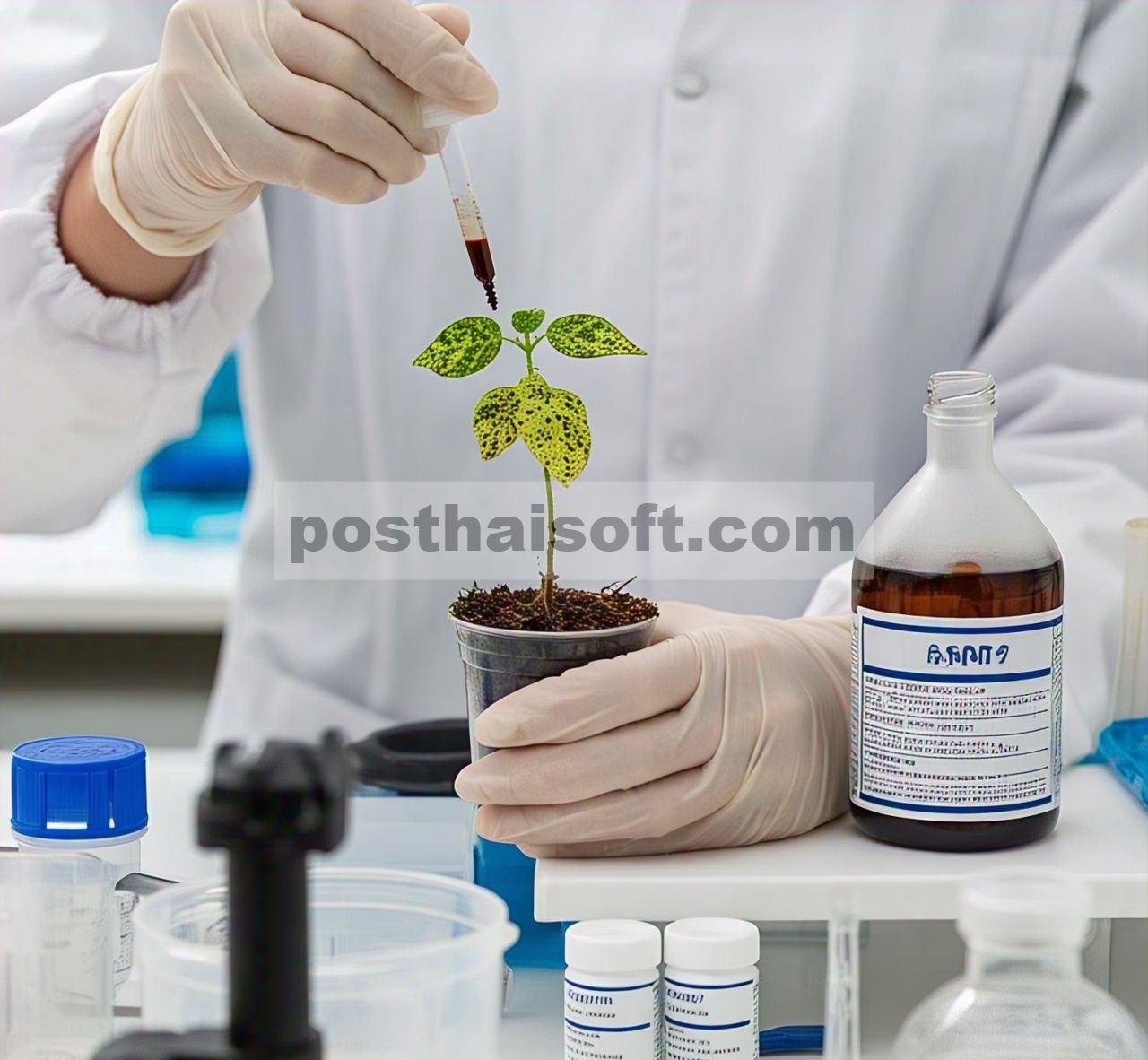 Peningkatan ketahanan tanaman terhadap virus mosaik tembakau melalui aplikasi gabungan protein Aspf2 dan unsur mikro Verticillium dahliae