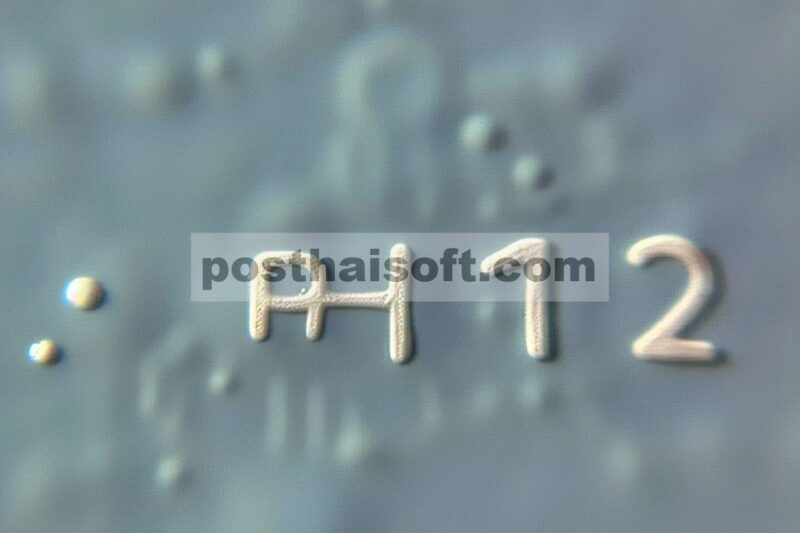 Aktivitas bakteriolitik dari holin Gp52 yang diduga dari bakteriofag Phi11 memerlukan domain transmembran N-terminalnya