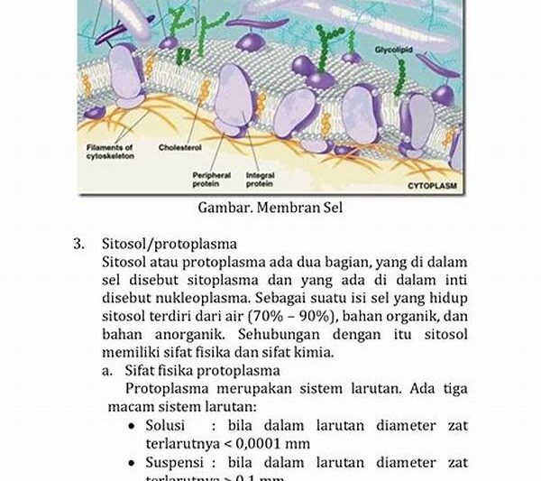 Biologi Struktural