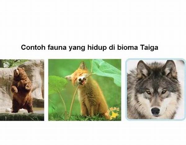 Bioma Dan Habitat