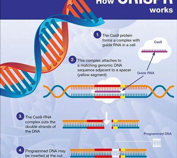 Crispr
