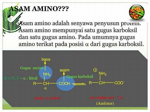 Enzim Dan Protein