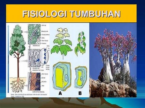 Fisiologi Tumbuhan