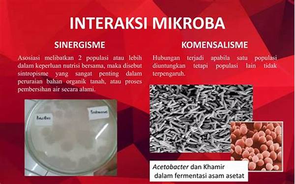 Interaksi Mikroba-tumbuhan