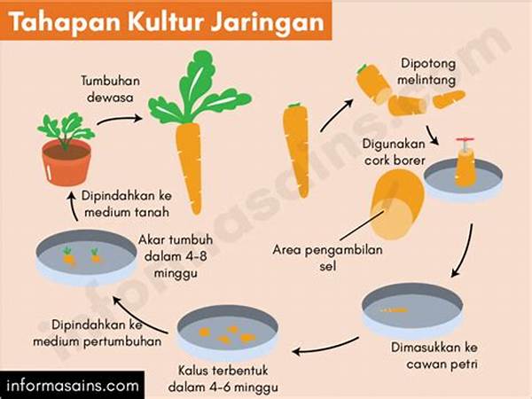 Kultur Jaringan