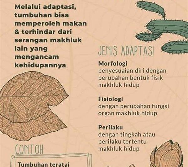 Adaptasi Tumbuhan