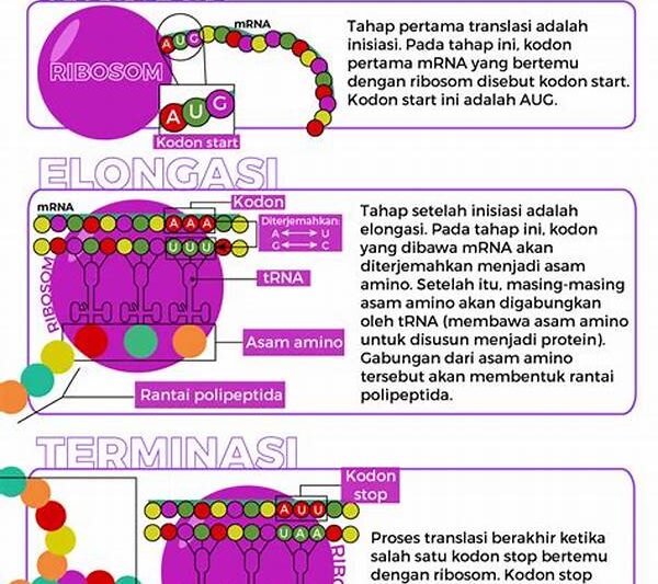 Sintesis Protein