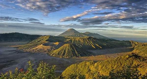 Taman Nasional