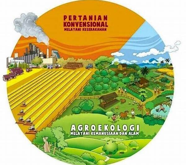Agroekologi