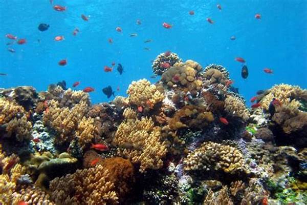 Biodiversitas Laut
