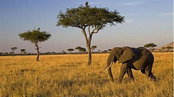 Bioma Savana