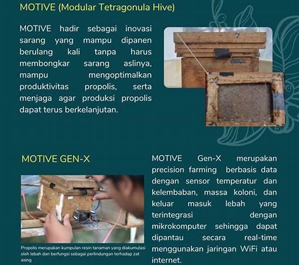 Highlight Penelitian