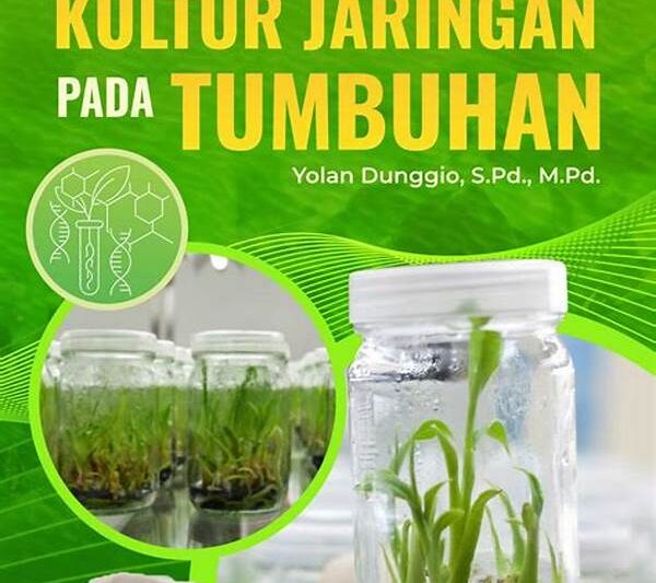Teknik Kultur